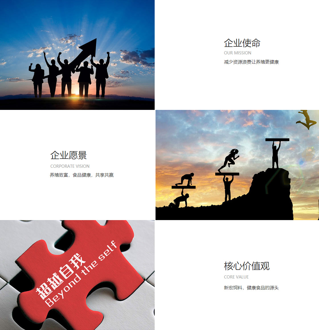 不朽情缘官网下载(图1)